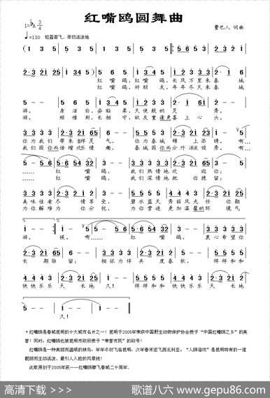 红嘴鸥圆舞曲 - 曹巴人|曹巴人