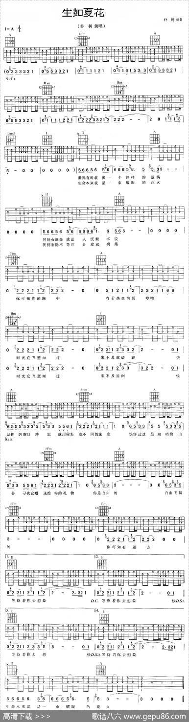 生如夏花（朴树词朴树曲） - 朴树|朴树