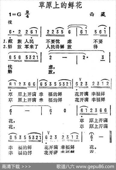 草原上的鲜花（西藏民歌）