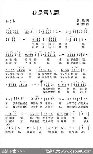 我是雪花飘 - 袁质|刘北休