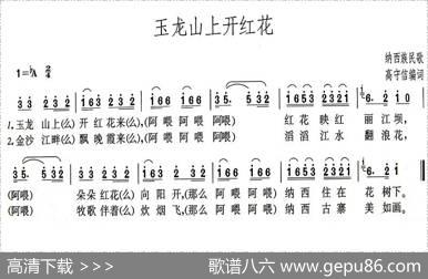 玉龙山上开红花（高守信编词） - 高守信