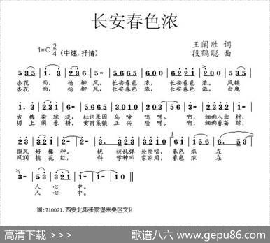 长安春色浓 - 王禅胜|段鹤聪