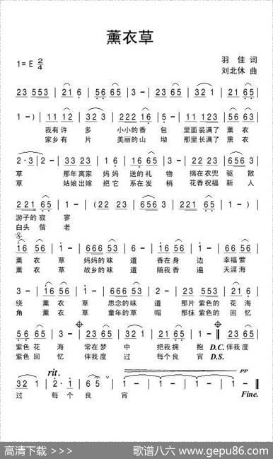 薰衣草 - 羽佳|刘北休