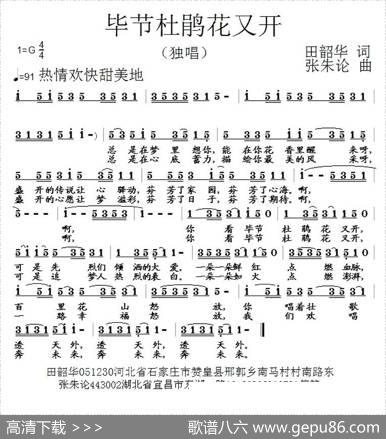 毕节杜鹃花又开 - 田韶华|张朱论
