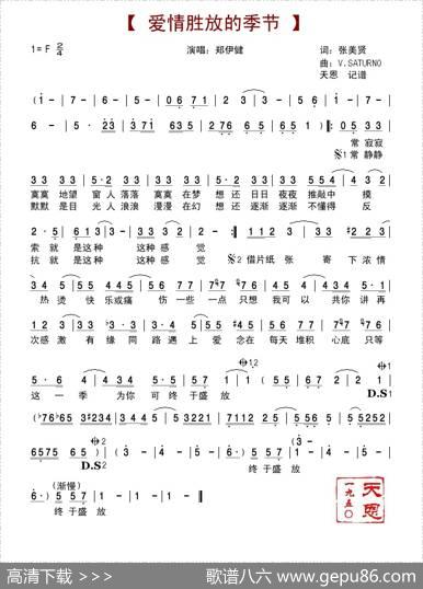 《爱情盛放的季节》 - 张美贤|VEHNEESATURNO