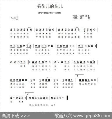 唱花儿的花儿 - 路勇金明|路勇