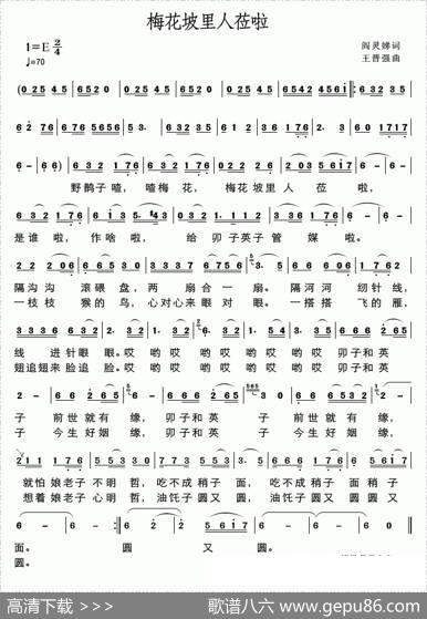 梅花坡里人莅啦 - 阎灵娣|王晋强