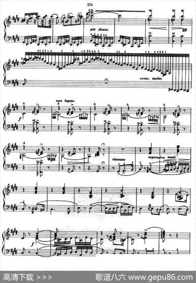 匈牙利狂想曲第2首|杨文涛改编