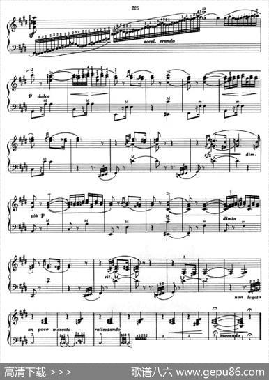 匈牙利狂想曲第2首|杨文涛改编