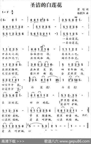 圣洁的白莲花 - 翟琮|杨歌阳