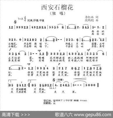 西安石榴花 - 李红林|段鹤聪