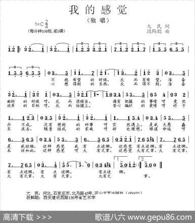 我的感觉 - 大民|段鹤聪
