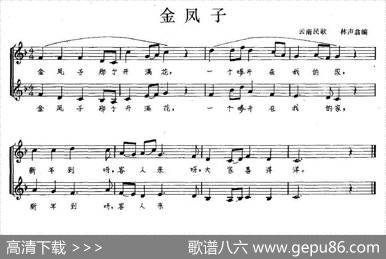 金凤子（五线谱）|云南民歌、林声翕编合唱