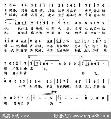 别再沉睡 - 金明|任诗琦