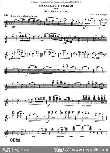 长笛演奏基础教程练习（CollectionofSongsandsolos）|E·Wagner（E·韦格）