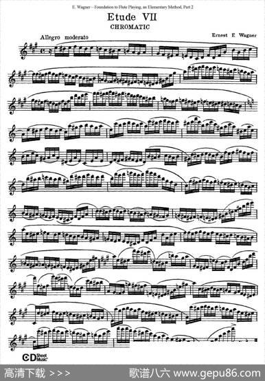 长笛演奏基础教程练习（Etude7）|E·Wagner（E·韦格）
