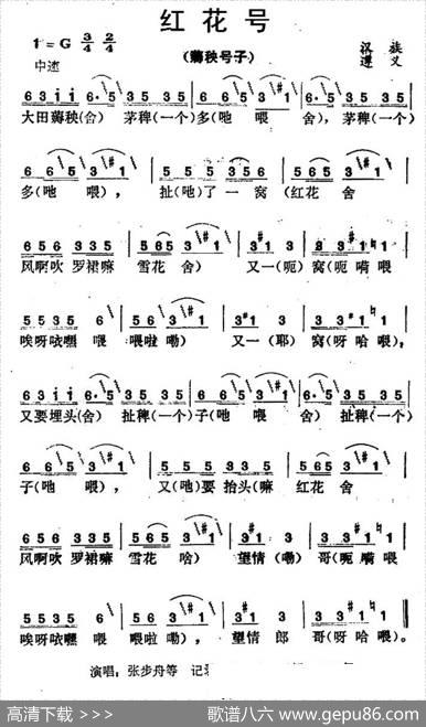 红花号