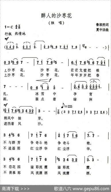 醉人的沙枣花 - 鲁淑然|夏中汤