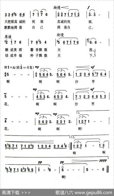 醉人的沙枣花 - 鲁淑然|夏中汤