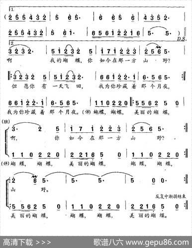 蝴蝶（程义浩词印青曲） - 程义浩|印青
