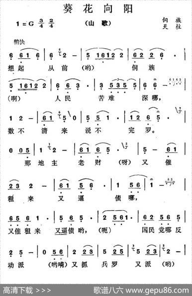 葵花向阳