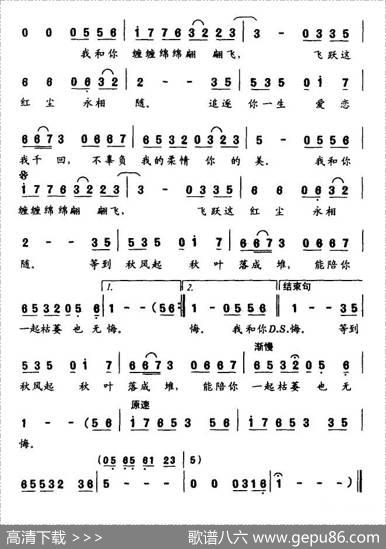 两只蝴蝶 - 牛朝阳|牛朝阳