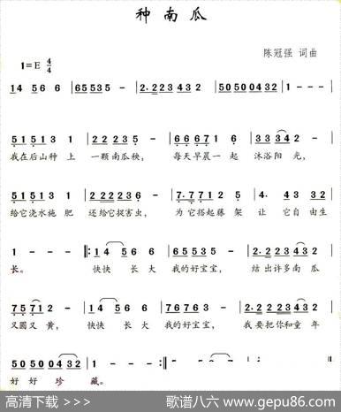 种南瓜 - 陈冠强|陈冠强