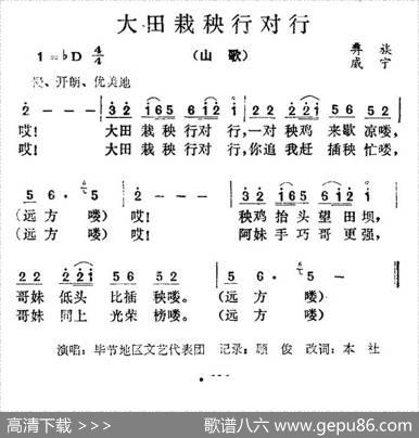 大田栽秧行对行（贵州彝族山歌）