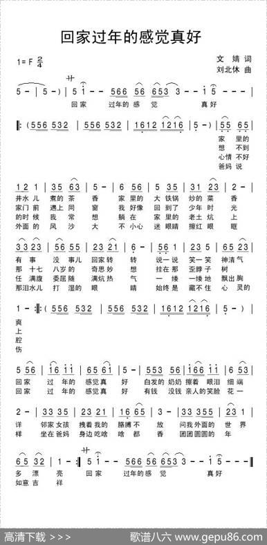 回家过年的感觉真好 - 文婧|刘北休