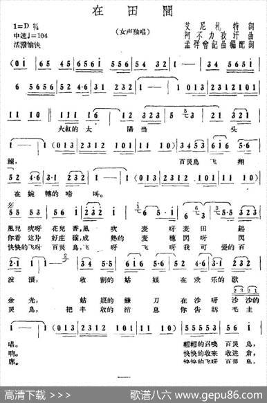 在田间 - 艾尼扎特|阿不力孜汗