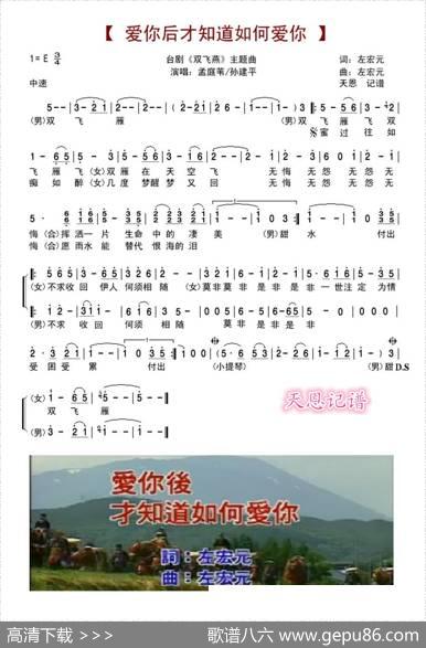 爱你后才知道如何爱你（孟庭苇孙建平） - 左宏元|左宏元