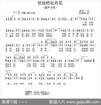 怒放吧牡丹花 - 黄持一|段鹤聪