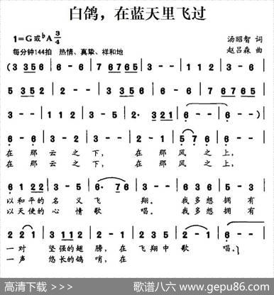 白鸽，在蓝天里飞过 - 汤昭智|赵吕森