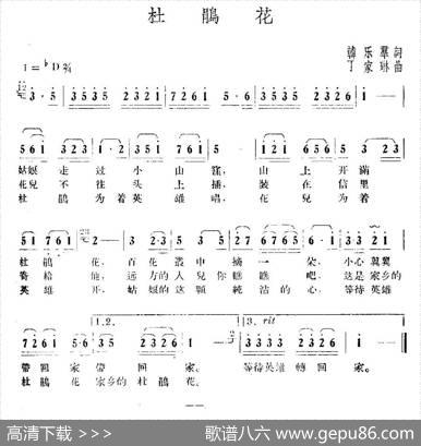 杜鹃花（韩乐群词丁家琳曲） - 韩乐群|丁家琳