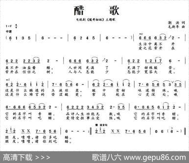 醋歌（电视剧《酸哥甜妹》主题歌） - 潮洪|毛新年