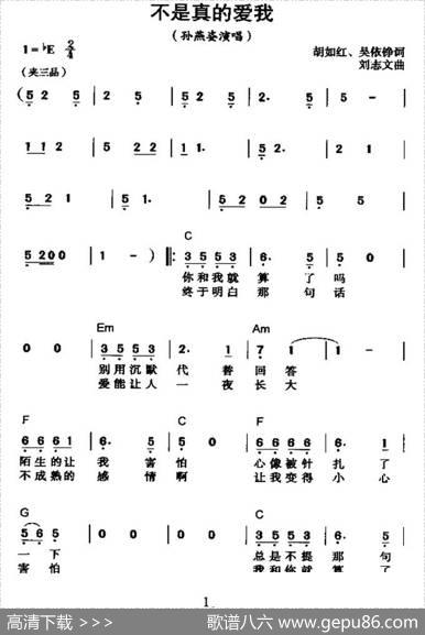 不是真的爱我 - 胡如红|刘志文