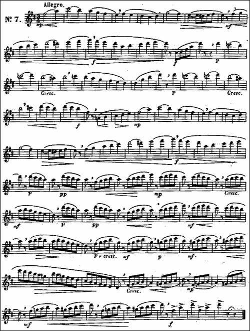 二十首练习曲作品131号-NO.7-长笛五线谱|长笛谱