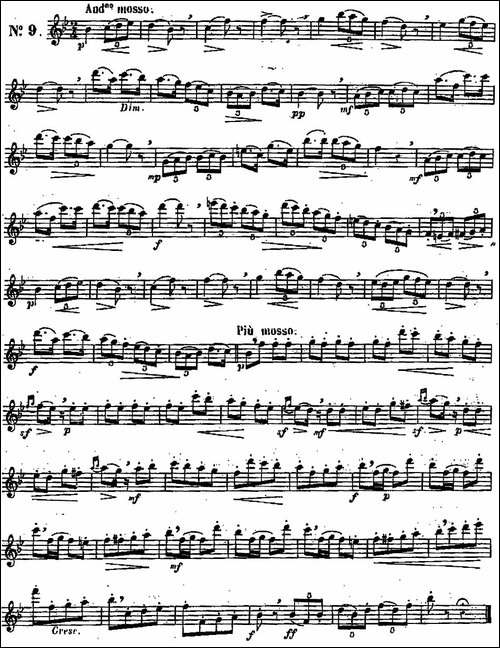 二十首练习曲作品131号-NO.9-长笛五线谱|长笛谱