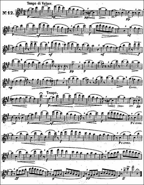二十首练习曲作品131号-NO.12-长笛五线谱|长笛谱