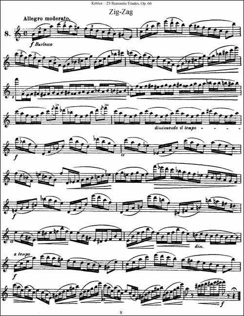 25首浪漫练习曲作品66号-NO.8-长笛五线谱|长笛谱