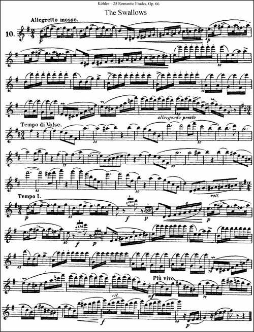 25首浪漫练习曲作品66号-NO.10-长笛五线谱|长笛谱