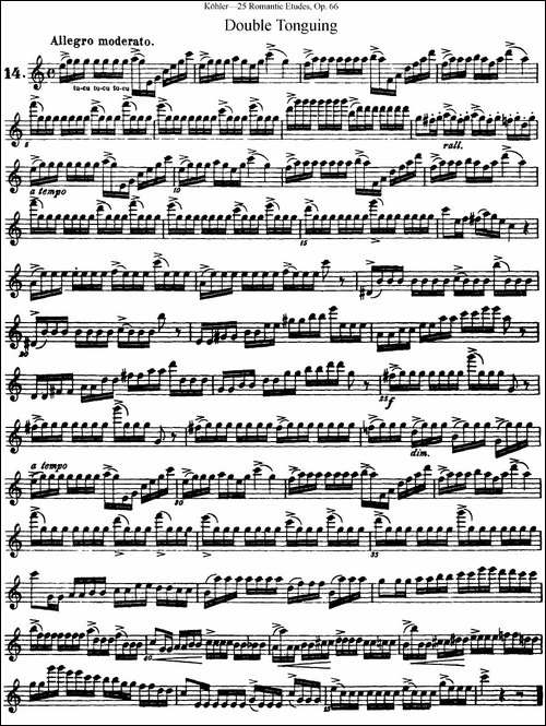 25首浪漫练习曲作品66号-NO.14-长笛五线谱|长笛谱