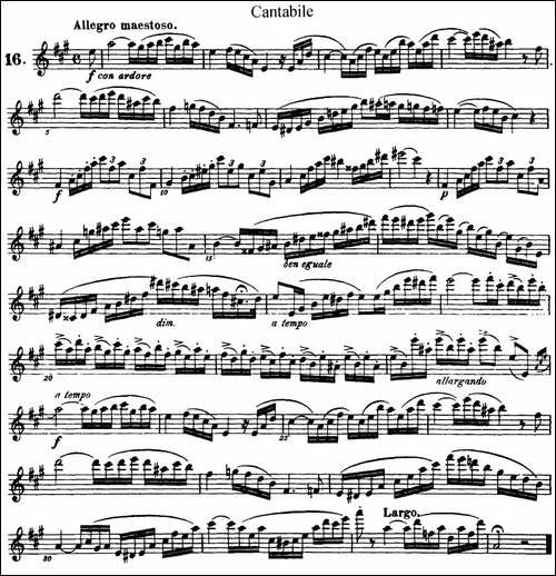 25首浪漫练习曲作品66号-NO.16-长笛五线谱|长笛谱