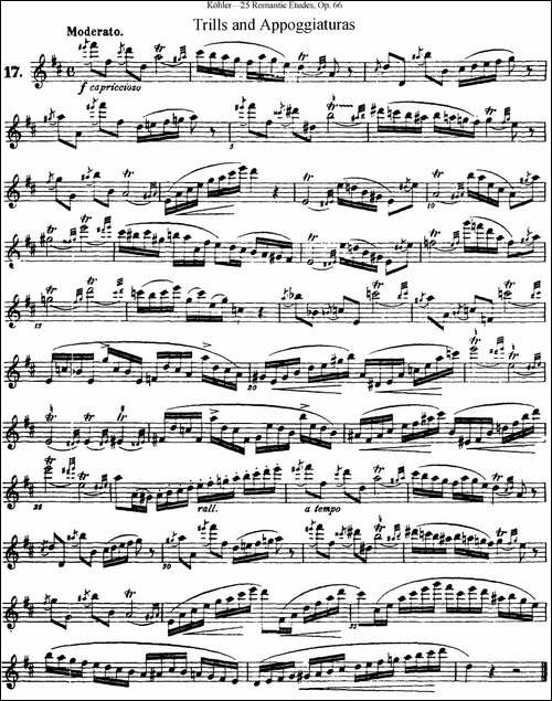 25首浪漫练习曲作品66号-NO.17-长笛五线谱|长笛谱