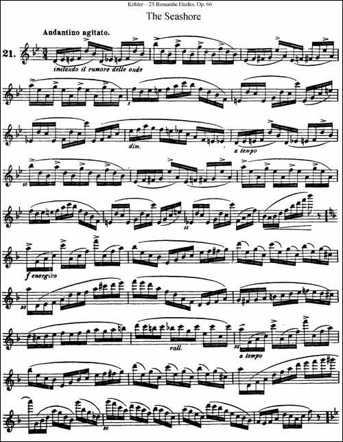 25首浪漫练习曲作品66号-NO.21-长笛五线谱|长笛谱
