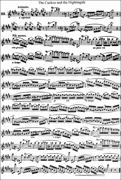 柯勒25首浪漫长笛练习曲作品66号-NO.22-长笛五线谱|长笛谱