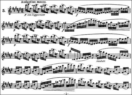 柯勒30首高级长笛练习曲作品75号-NO.5-长笛五线谱|长笛谱