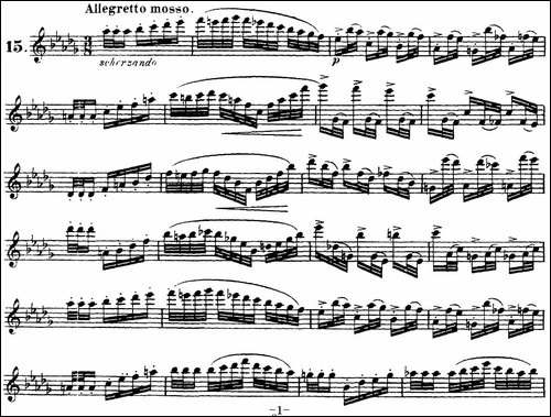柯勒30首高级长笛练习曲作品75号-NO.15-长笛五线谱|长笛谱