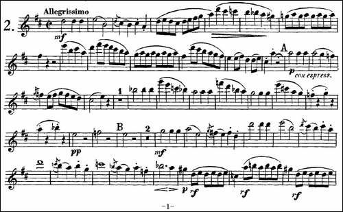 库劳长笛二重奏练习曲Op.10——Flute-1-No.2-长笛五线谱|长笛谱