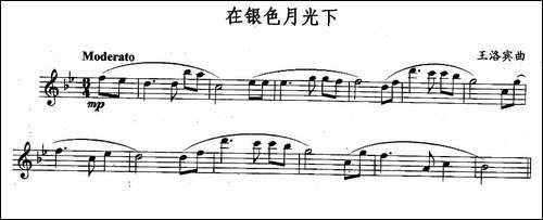 在银色月光下-长笛五线谱|长笛谱